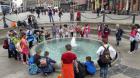 IMG-4330745f1b81b7feee16a9629169f7db-V