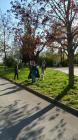 Viber_slika_2021-04-26_17-44-51s
