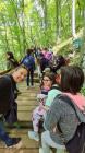 Viber_slika_2021-06-02_15-05-07d_338x600