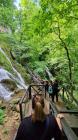Viber_slika_2021-06-02_15-05-07f_338x600
