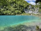 IMG_6890 - Copy - Copy_800x600