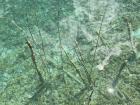 IMG_6893 - Copy - Copy_800x600