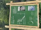 IMG_6904 - Copy - Copy_800x600