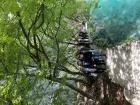 IMG_6918 - Copy - Copy_800x600