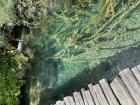 IMG_6958 - Copy - Copy_800x600