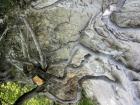 IMG_6960 - Copy - Copy_800x600