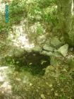 PICT0445