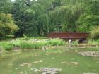 DSC03456