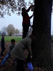 IMG_20121122_090406