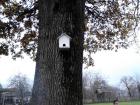 IMG_20121122_090720
