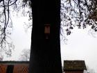IMG_20121122_090729
