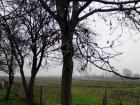 IMG_20121122_091111
