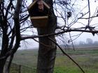 IMG_20121122_091121