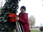 IMG_20121122_091422