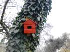 IMG_20121122_091456