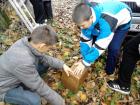 IMG_20121122_091845