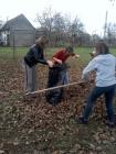 IMG_20121127_133031