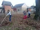 IMG_20121127_133130