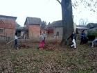 IMG_20121127_133356