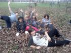 IMG_20121127_133803