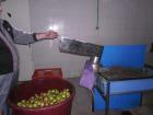 SAM_0287