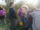 SAM_0286