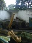 DSC00822