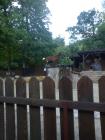 DSC00849