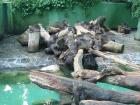 Zoo
