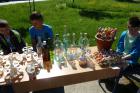 Klub Mladih Tehni#U010dara 2