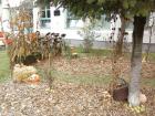 CAM00605