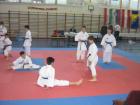 8.KARATE KUP RIJEKA-03.04.2011. 003