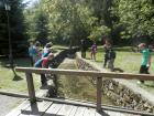 PJN_2013 (052)