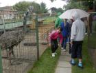 PJN_2013 (270)
