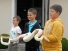 PJN_2013 (326)