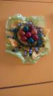 IMG-20170412-WA0012