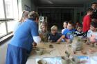 GREEN APPLE DAY 2017-10-13 032