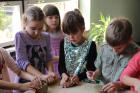 GREEN APPLE DAY 2017-10-13 040