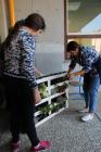 GREEN APPLE DAY 2017-10-13 056