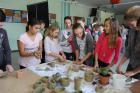 GREEN APPLE DAY 2017-10-13 058