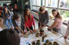 GREEN APPLE DAY 2017-10-13 060