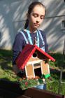 GREEN APPLE DAY 2017-10-13 064