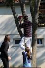 GREEN APPLE DAY 2017-10-13 074