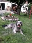 Samantina Linda - 
