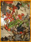 Slika022