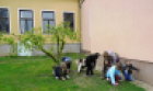 SAM_0246[1]