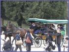 Wien 2012002