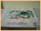 Slika083