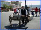 Slika011