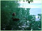 Izlet Plitvice 014